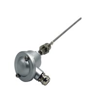 Temperatursensor för tank PT100 med dubbla utgångar